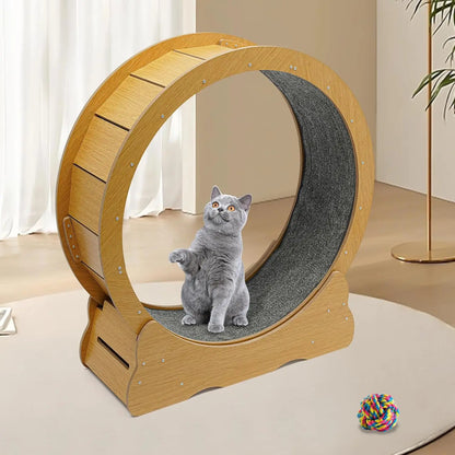 Cat Exercise Wheel; Cat Running Wheel;