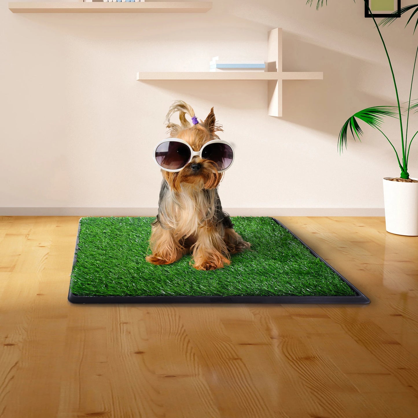 Dog potty artificial turf; environmental protection;