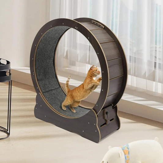 Cat Exercise Wheel; Cat Running Wheel;
