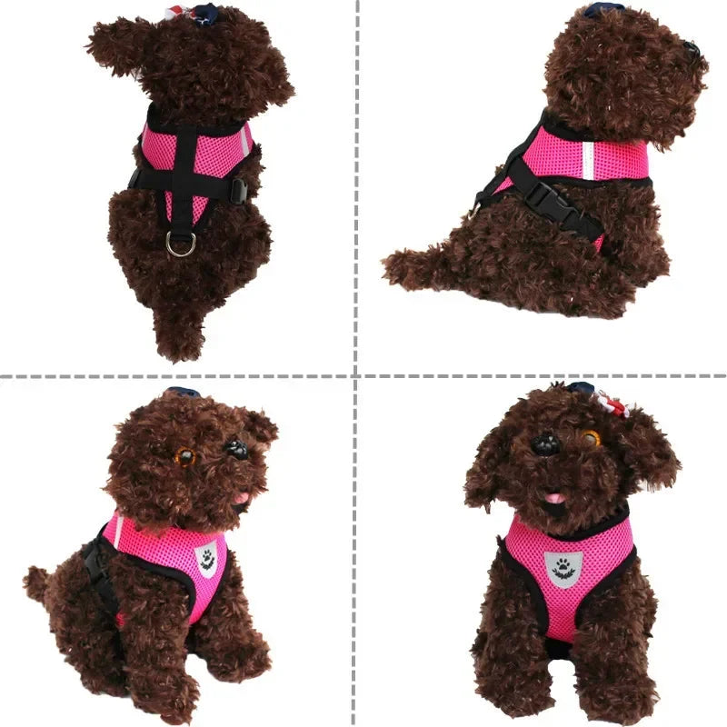 Dog Adjustable Harness / Vest & Walking Lead;