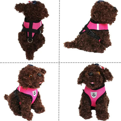 Dog Adjustable Harness / Vest & Walking Lead;