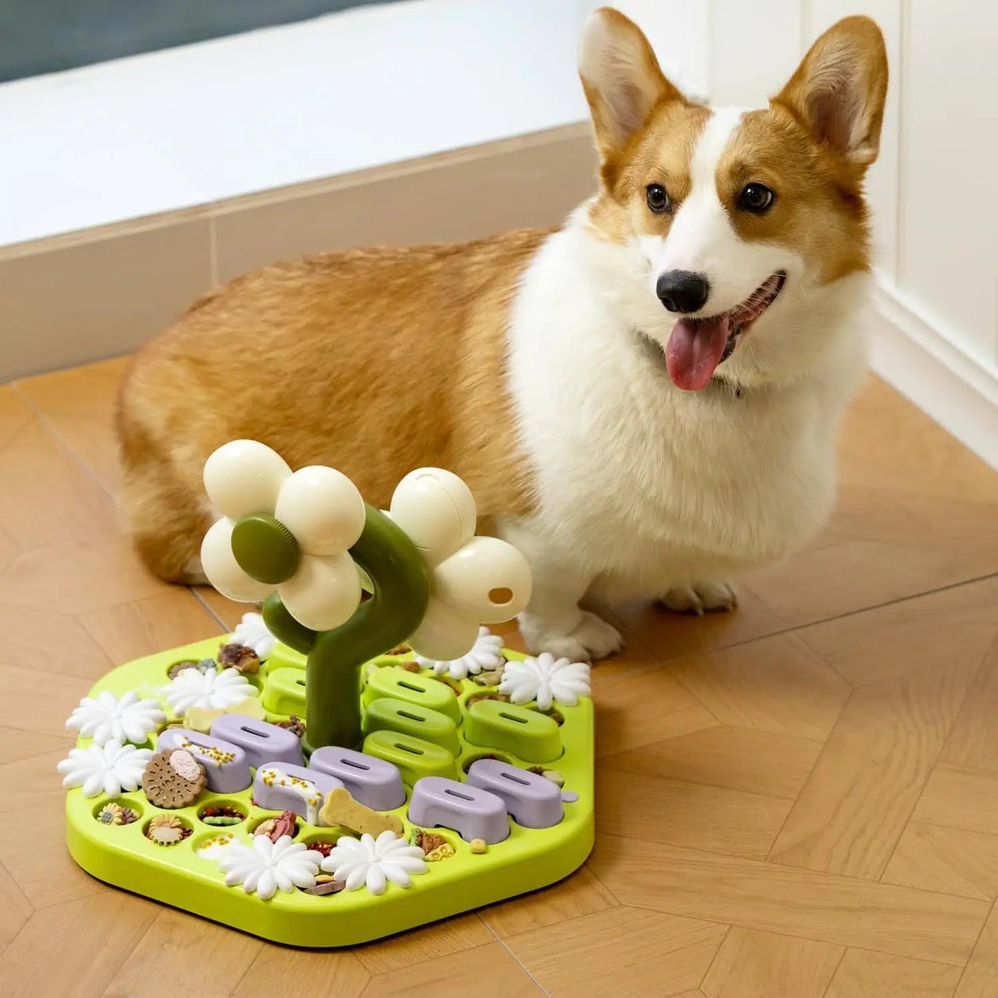 4 Dog Puzzle Toy Enrichment Toys; IQ Training;