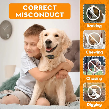 Electric Dog Training Collar; Rechargeable Anti Barking Shock Vibration;