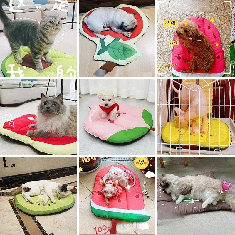 Dog Cooling Summer Pad/ Mat; Washable;