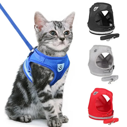Dog Adjustable Harness / Vest & Walking Lead;