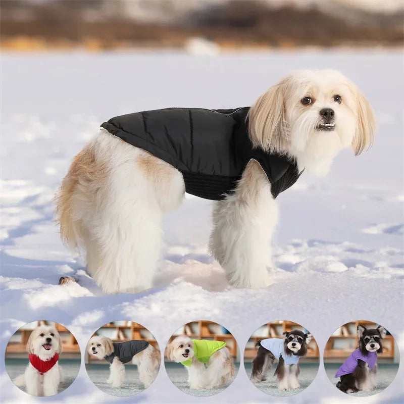 Winter Dog  Coats; BackZipper; Windproof;