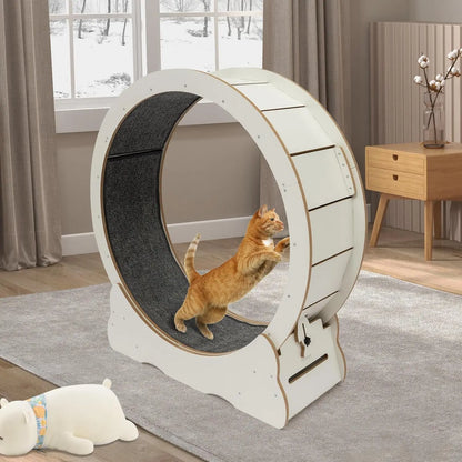 Cat Exercise Wheel; Cat Running Wheel;