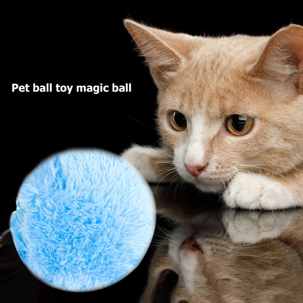5pcs Pet Electric Balls Battery Powered ;