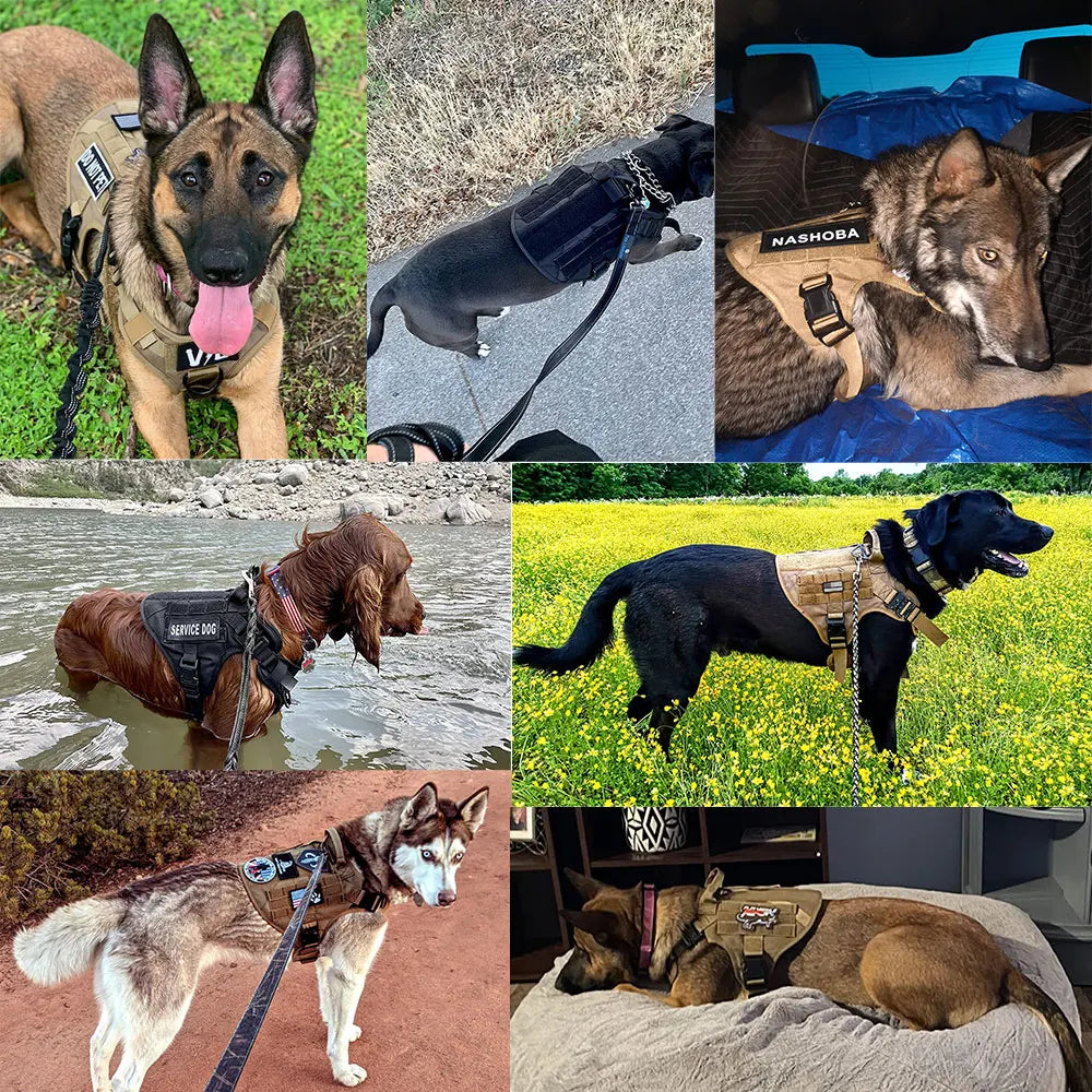 Large Dog Harness Leash Set; Walking Vest Dog Harness'