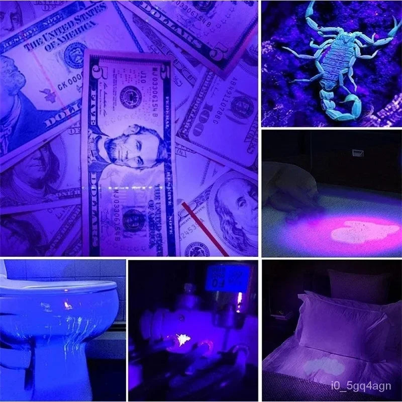1 LED UV  Black Light  Pet Urine Detector;