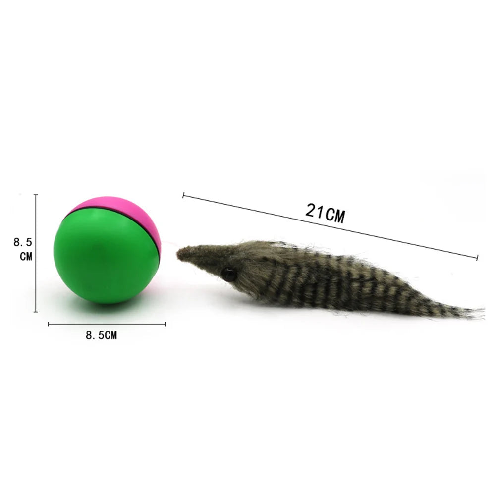 Electric Beaver/ Weasel Rolling Ball; Chasing Toy;