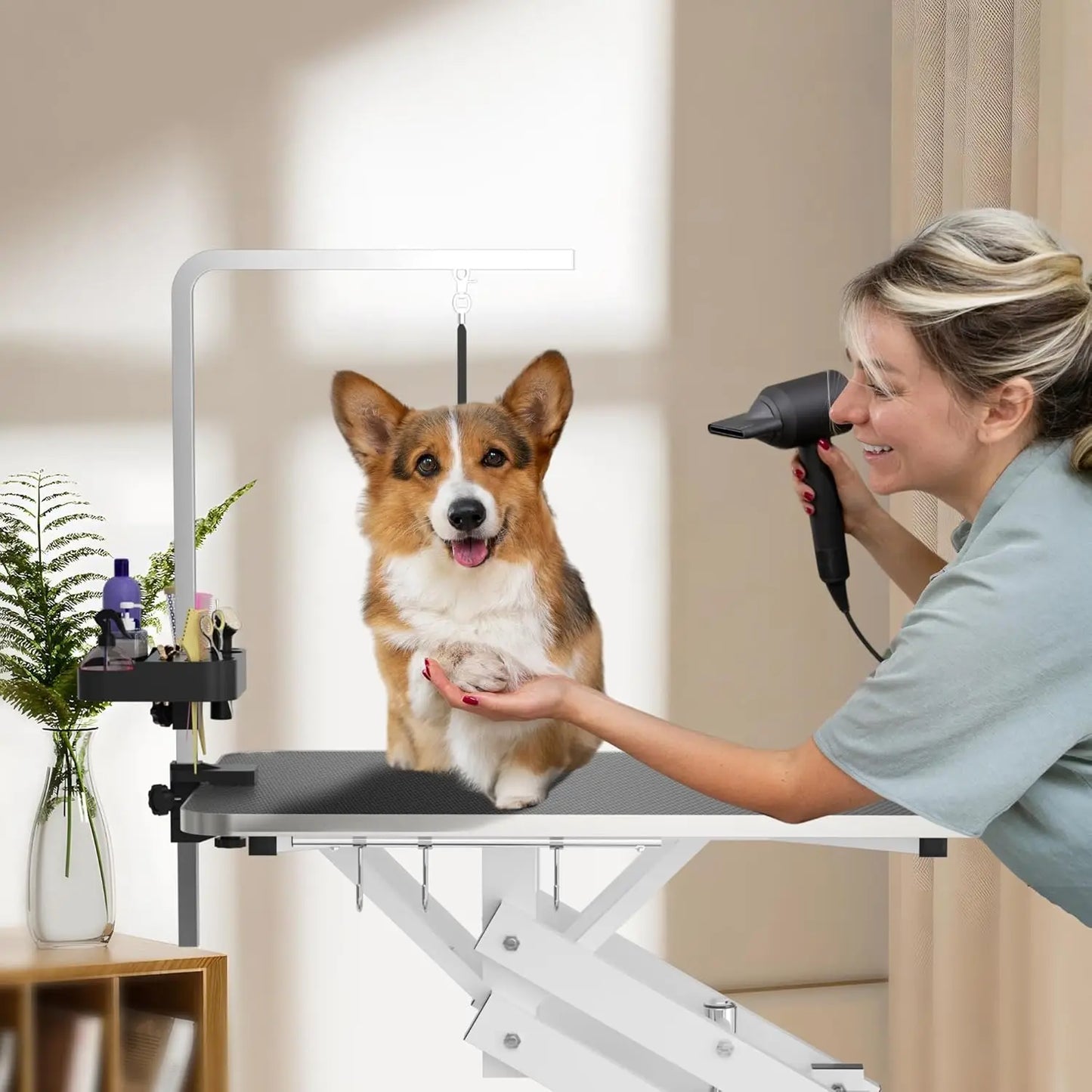 Professional Pet Grooming Table ; Hydralic lift;